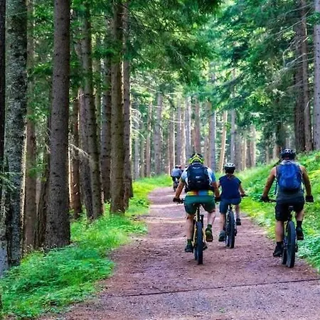 In Near Baltic Διαμέρισμα